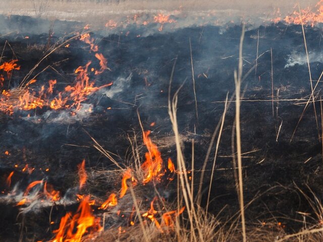    Фото: 123RF/ilstock21