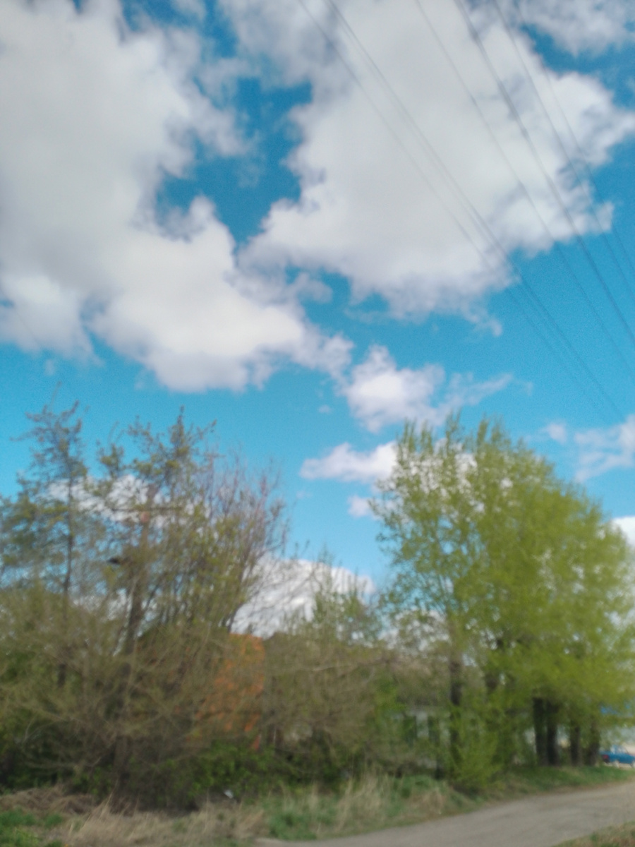 Фото автора. 