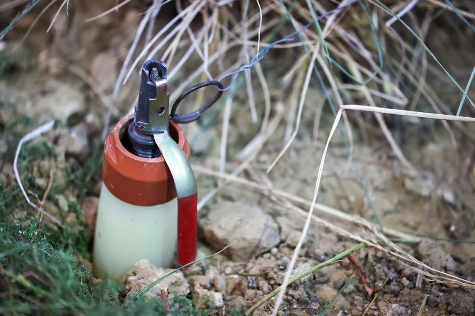    Алексей Белкин/NEWS.ru