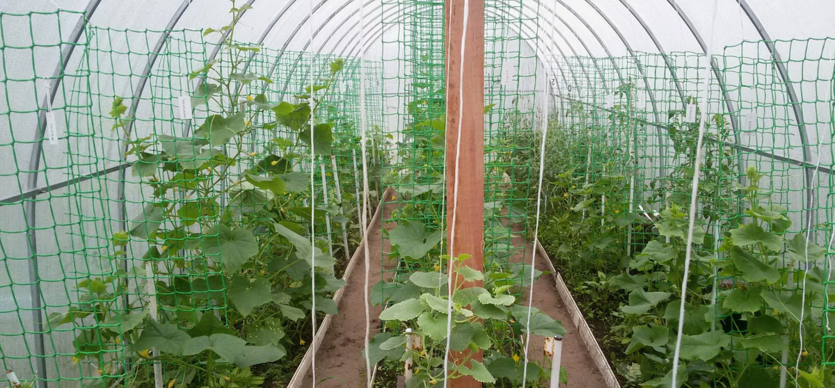 Создание оптимального микроклимата