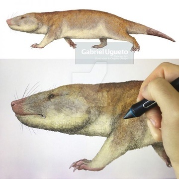 Пробайногнат от Габриэля Угуэто: арт/процесс создания арта.