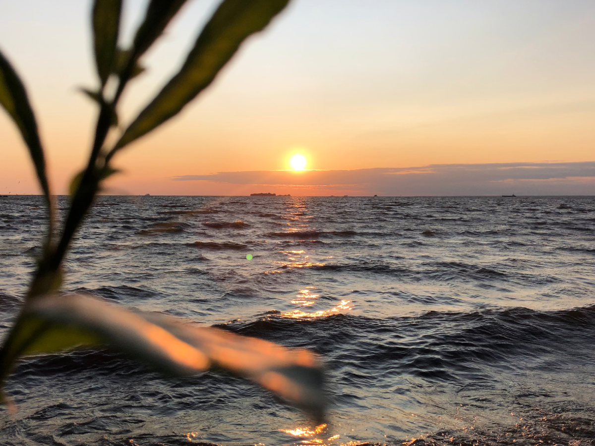 Живу в Питере и кайфую, что у нас есть залив