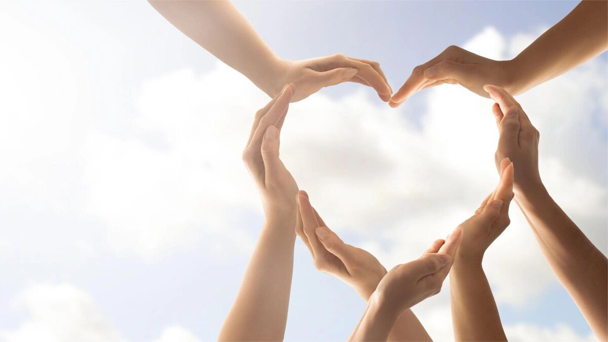    Фото: REDPIXEL.PL/Shutterstock/Fotodom