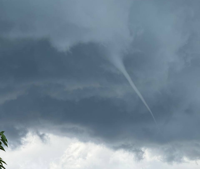    Фото: соцсети