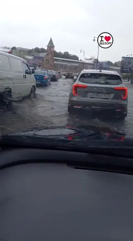    Фото: скриншот из видео в телеграм-канале «Выборг Go»