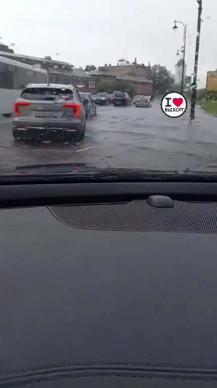    Фото: скриншот из видео в телеграм-канале «Выборг Go»