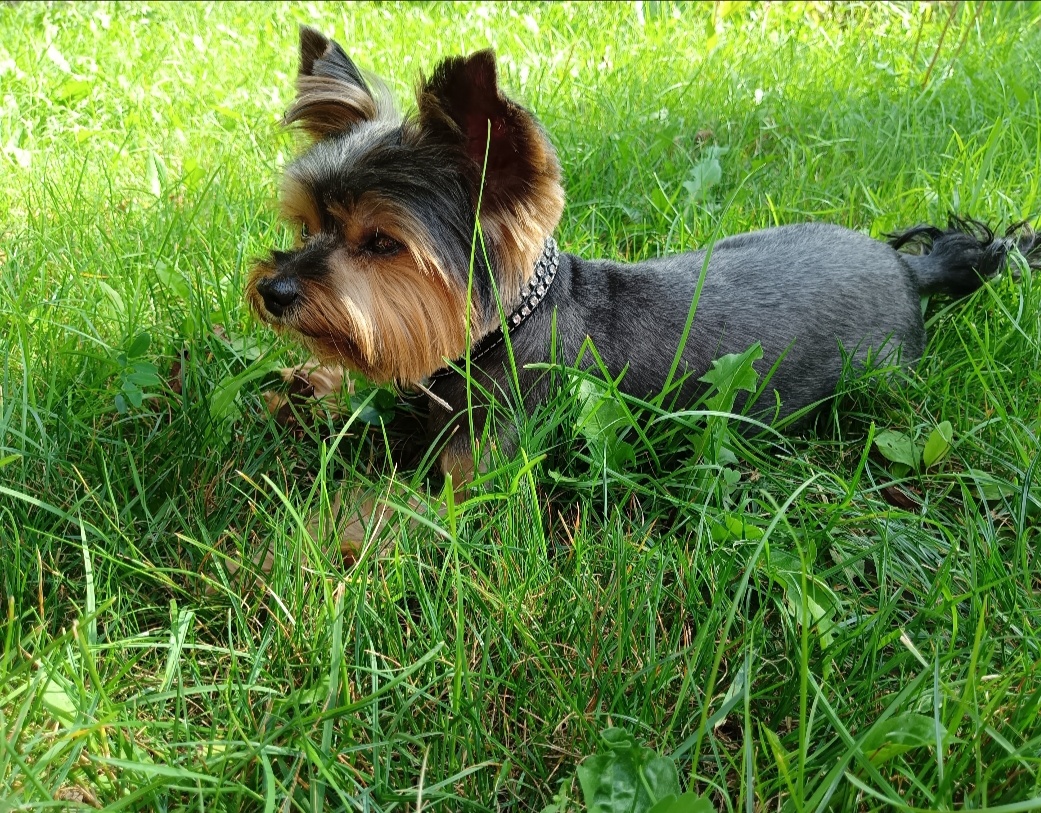 фото автора 