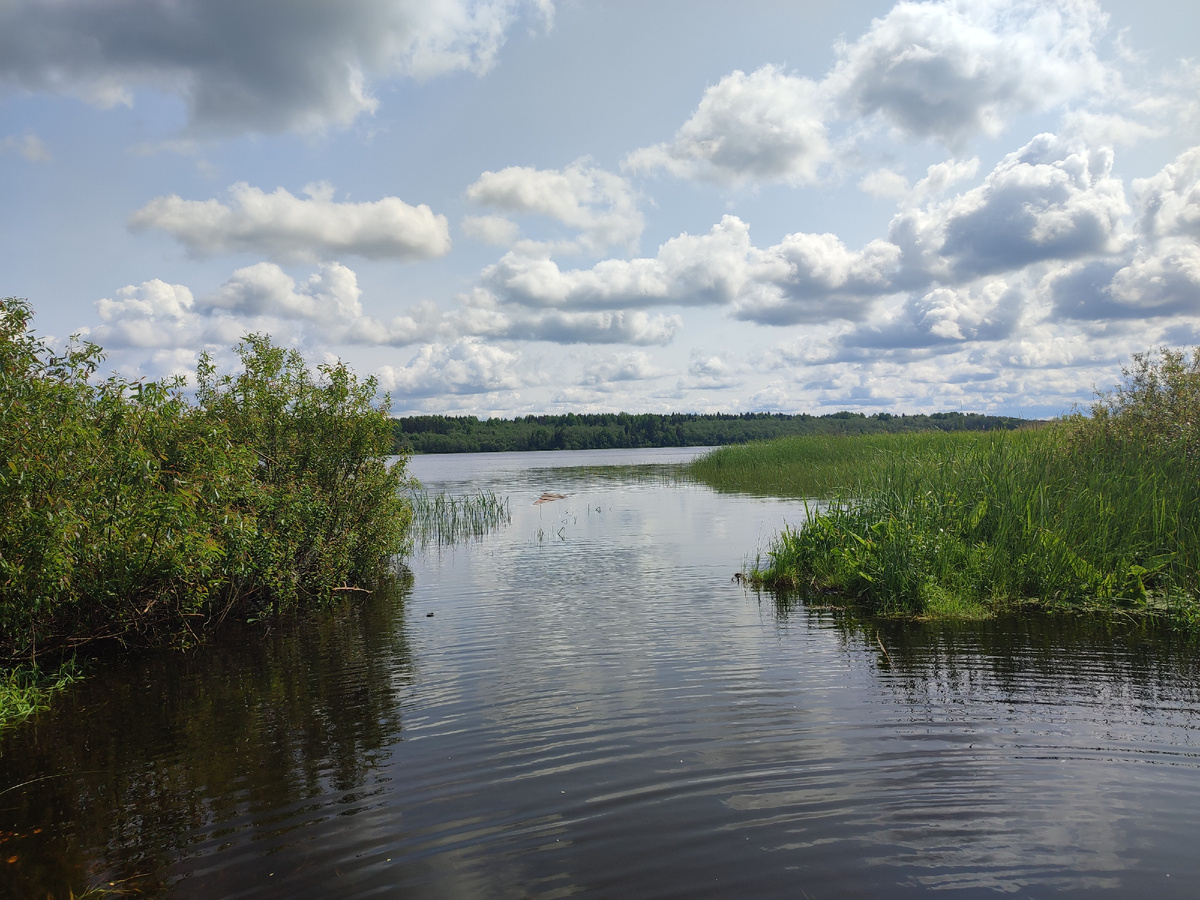 Орлинское озеро. 