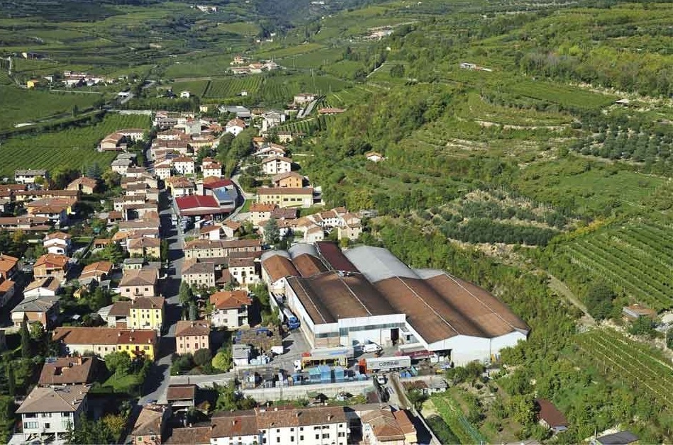 Виноградники Contri Spumante S.p.A. Источник — сайт: https://clck.ru/3Mr7ca