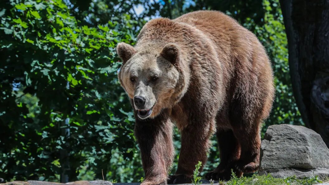    Bulkin Sergey/Globallookpress