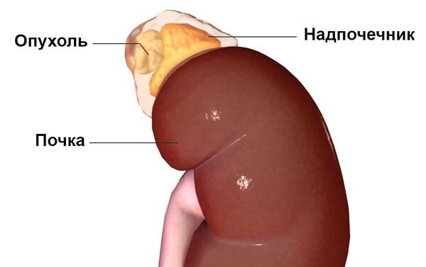 Взято из открытых источников