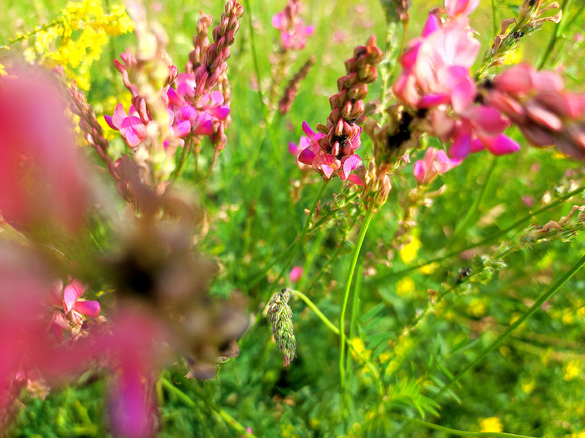 Моя прогулка фото автора 