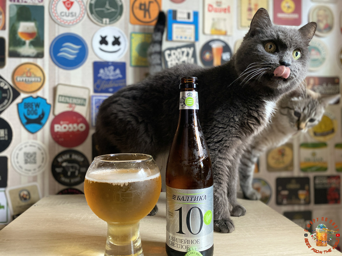 Ароматика пивцерина очень заинтересовала котов Секретной Лаборатории