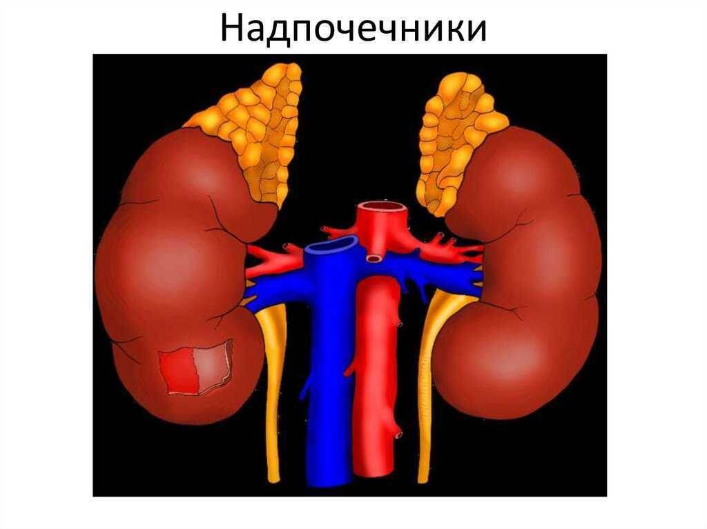 Из открытых источников