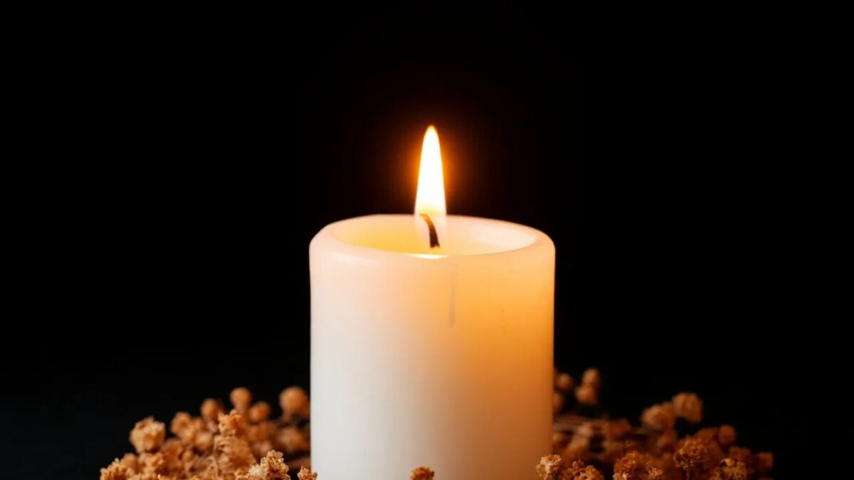    Сгенерировано ИИ