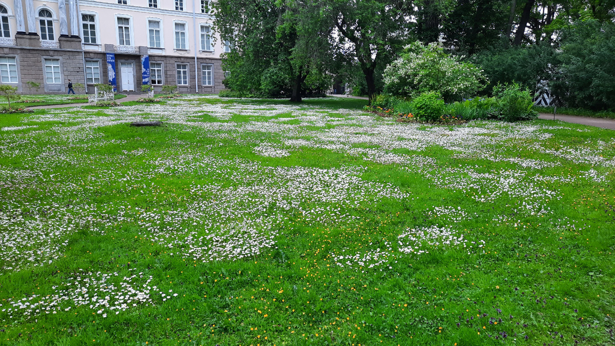 Фонтан — невидимка в Царском Селе 