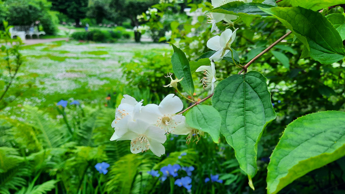 Фонтан — невидимка в Царском Селе 