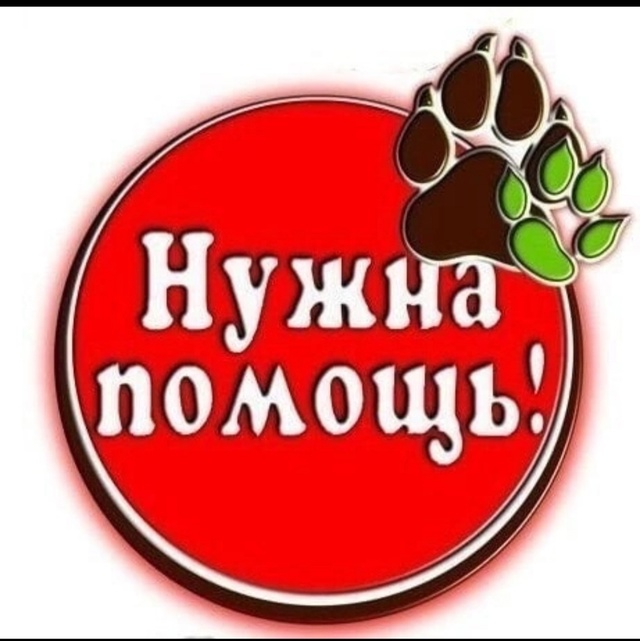 Фото из интернета