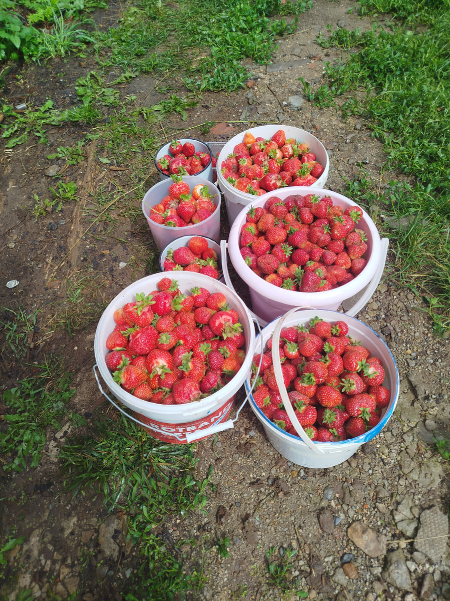 Здесь литров 50.