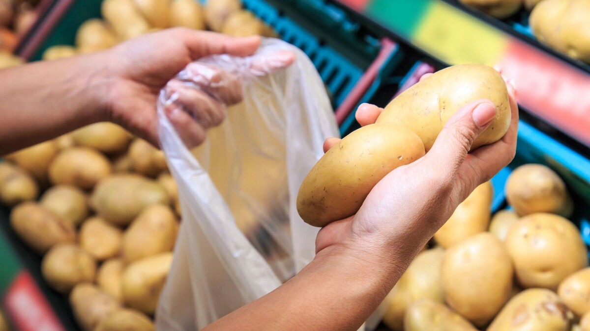    Фото: SKT Studio/Shutterstock/Fotodom