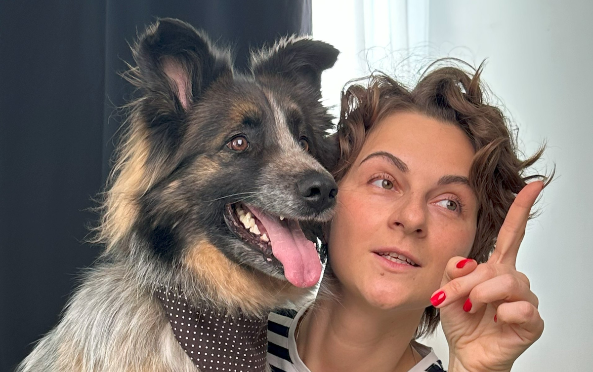 Собака не ест: почему так бывает и что с этим делать / Изображение: AlphaPet