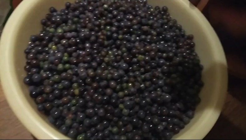 Обработанный виноград. Фото автора.