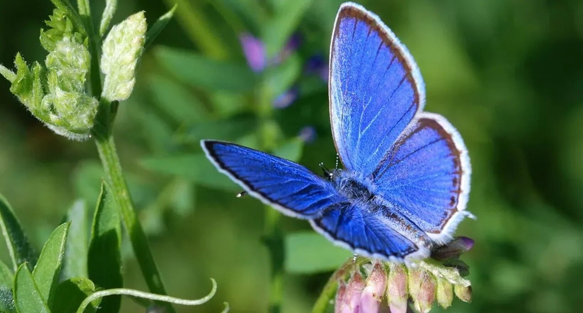 Изображение из интернета