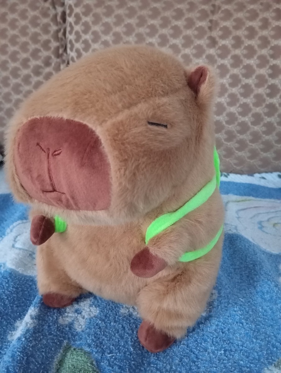 Ребята! Я купил себе капибару! Правда милая? Напишите в комментариях как ее назвать! У нее сзади есть рюкзак в в виде черепахи.