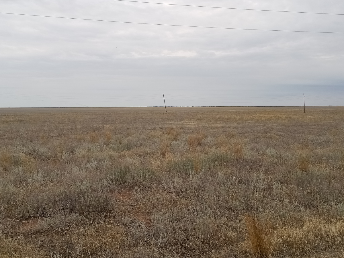 В статье все фото авторские. Баскунчакская степь. К сожалению, общее фото никак не передает всей красоты этого места.