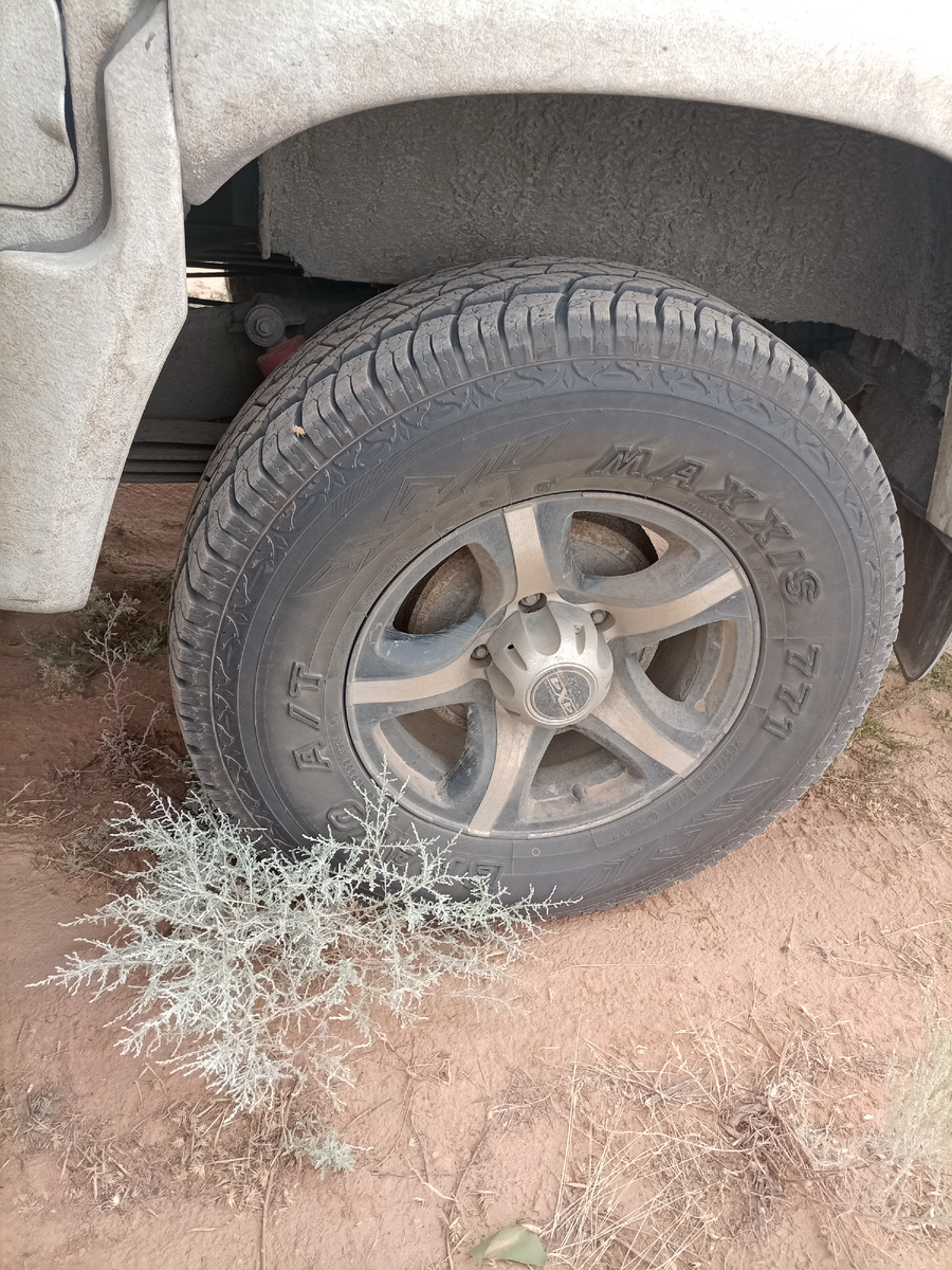 Кусочек степи прямо у наших колес💙