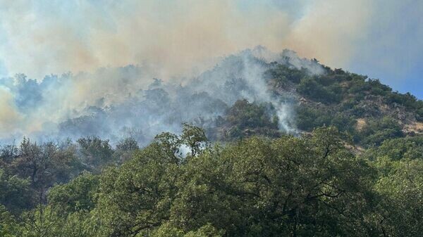    © МЧС Республики Крым