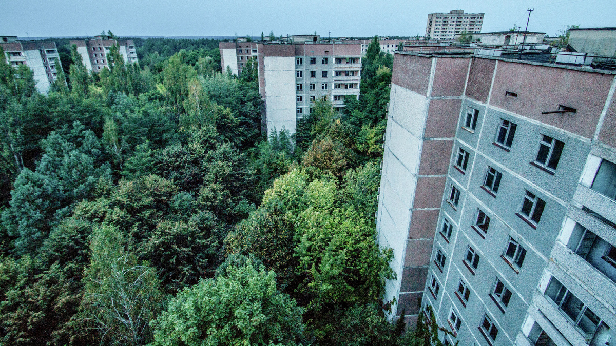 Изображение для иллюстрации. Фото автора. 