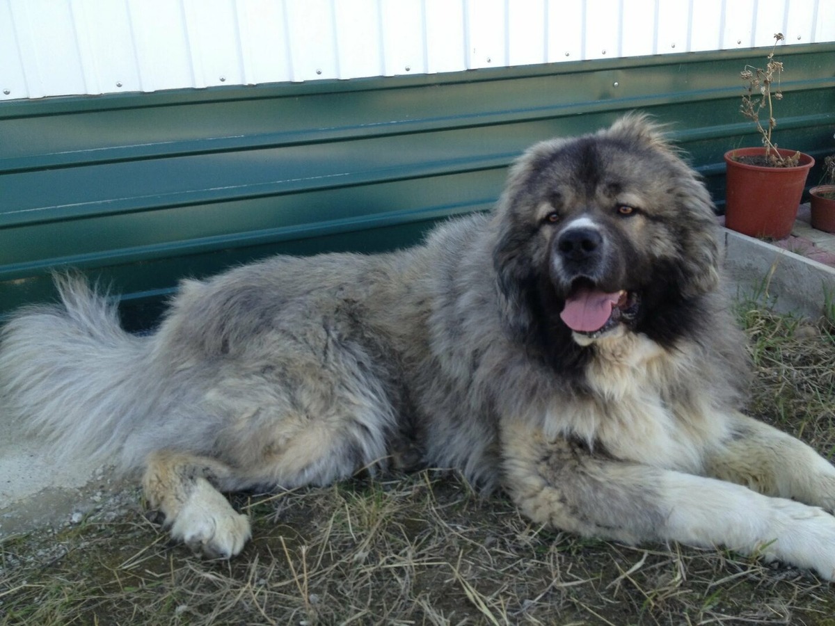 Изображение из интернета