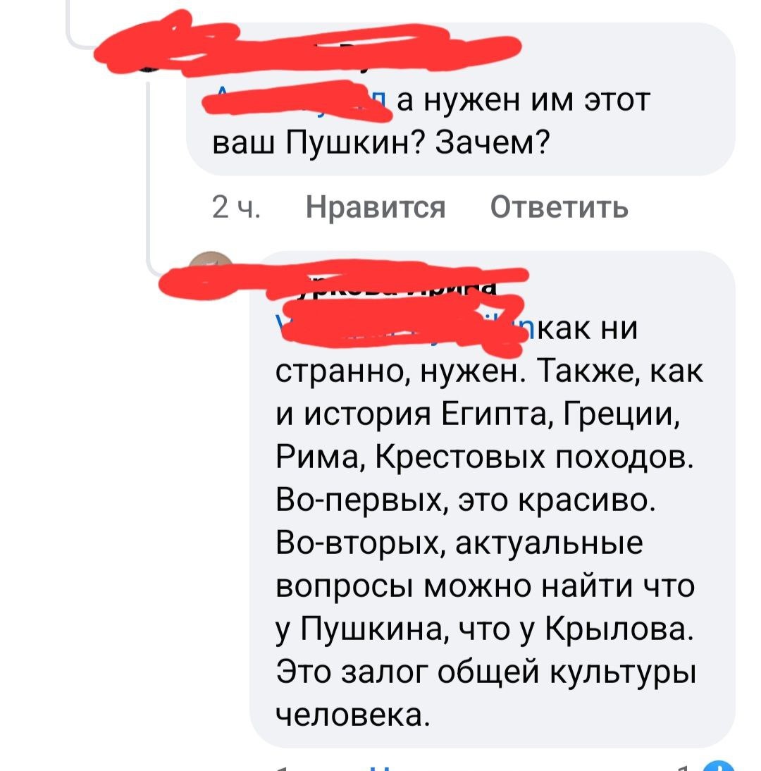 Скрин из одного чата. Автор поста утверждал, что пора менять подход к изучению русской литературы. 
