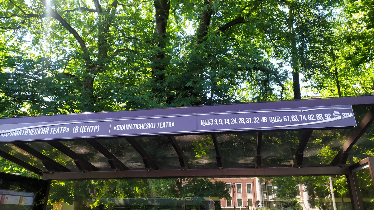 Остановка общественного транспорта в Калининграде. Автор фото: Любовь Федорова