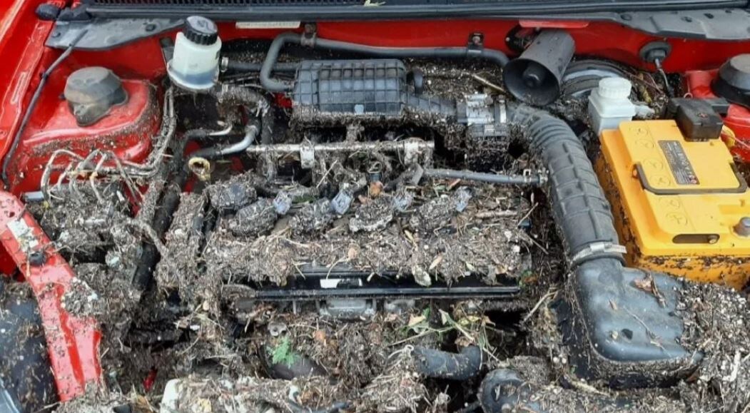 как не купить машину, которая «поплавала»