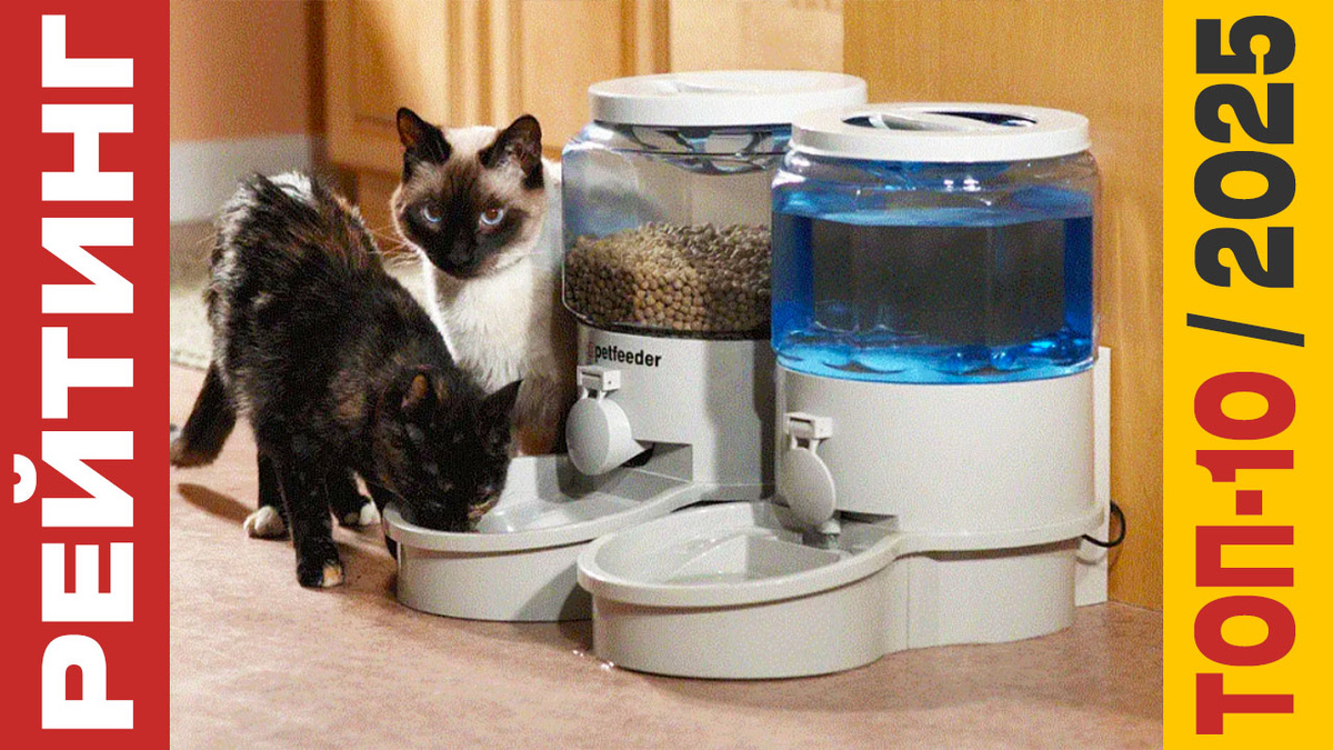 ТОП-10 Автоматических кормушек для кошек и собак 2025 года: Рейтинг лучших моделей