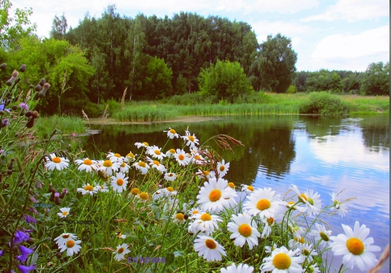 Автор  и правообладатель данного изображения: Яндекс Картинки