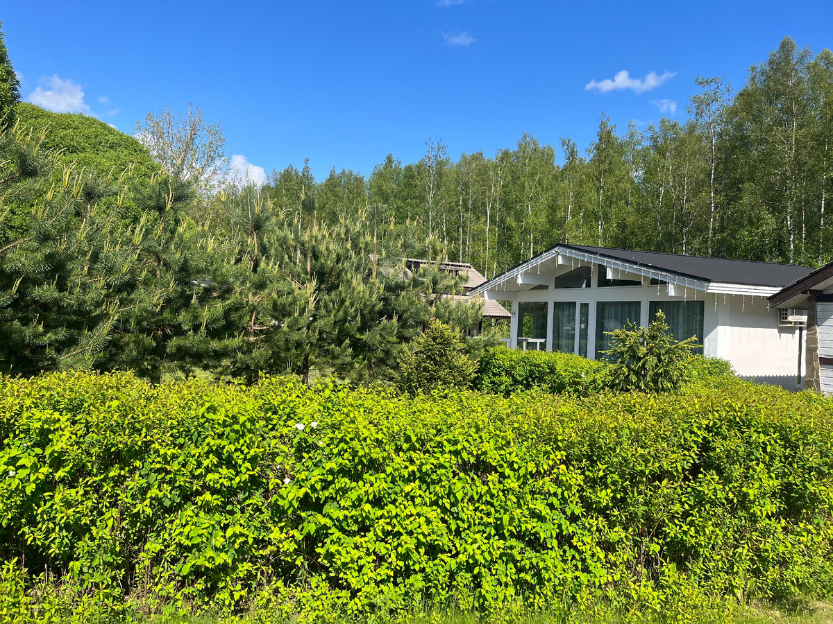 всё в зелени!