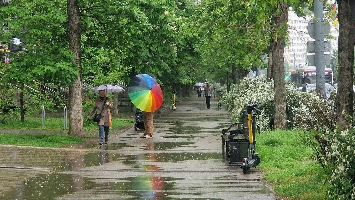    Фото: телеканал «Краснодар»