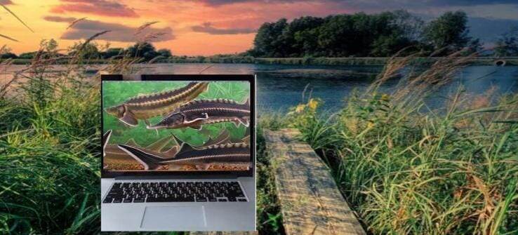 из открытых источников