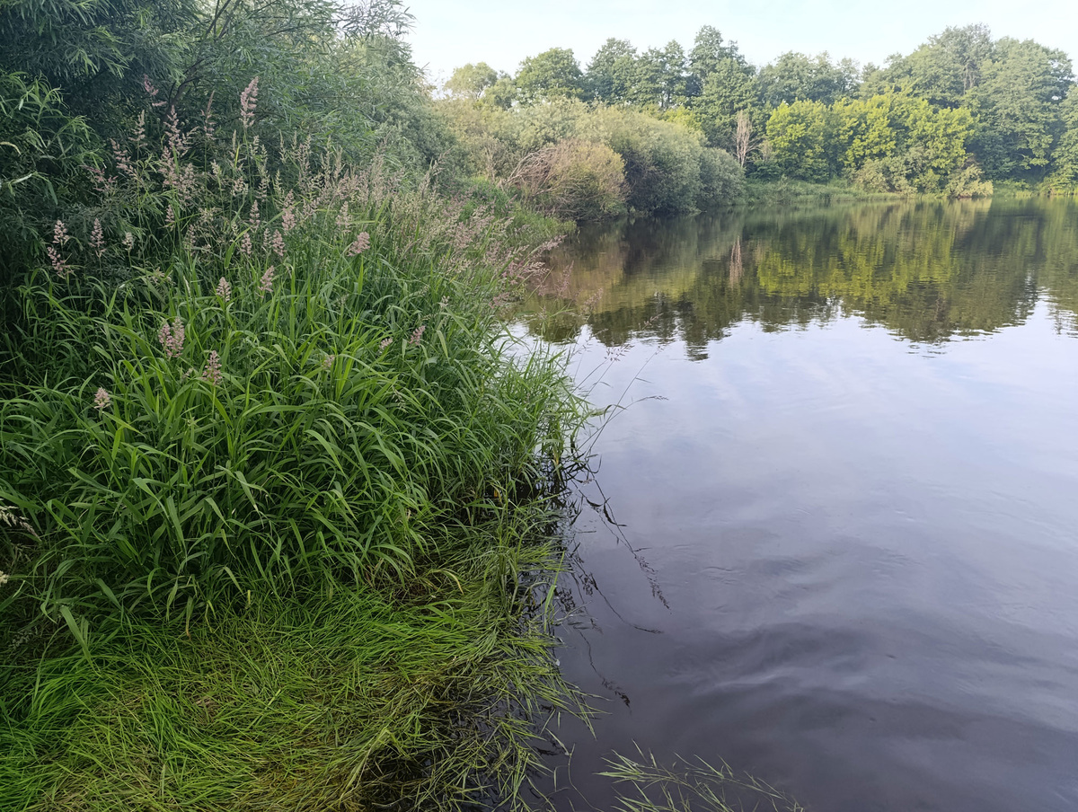 Бывший пляж