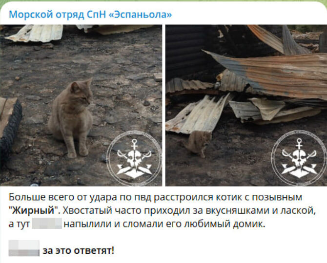    Скриншот с канала "Морской отряд СпН "Эспаньола"
