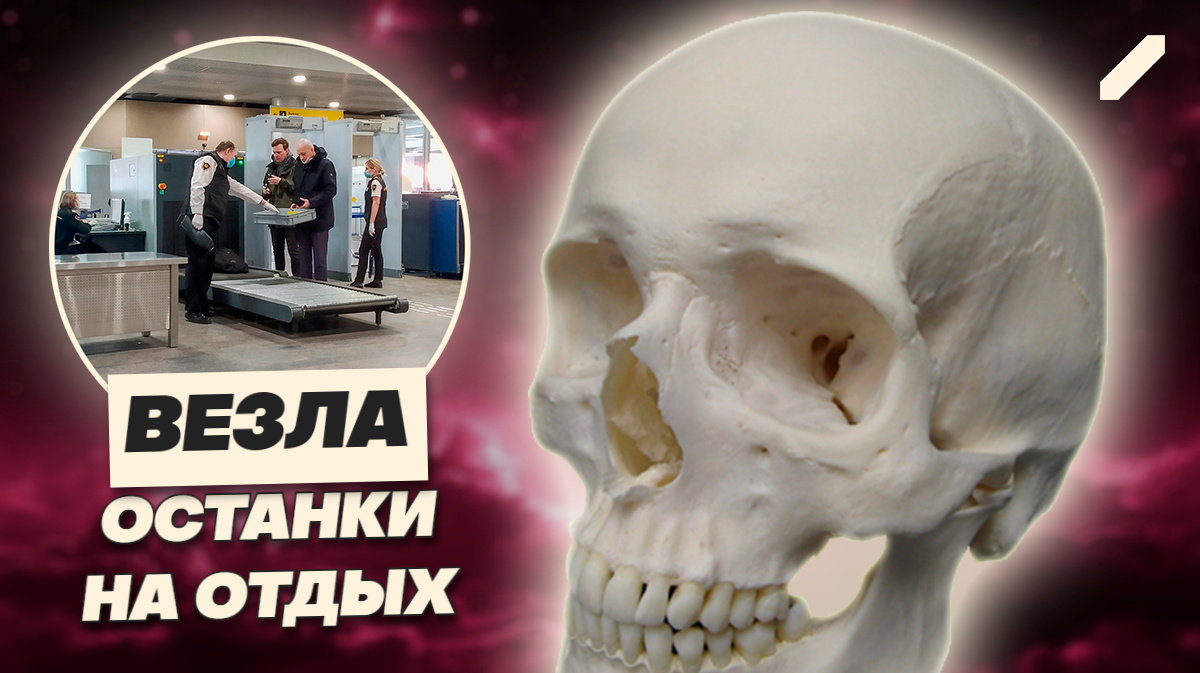 Кость любви: зачем женщина везла кости мужа на юг?