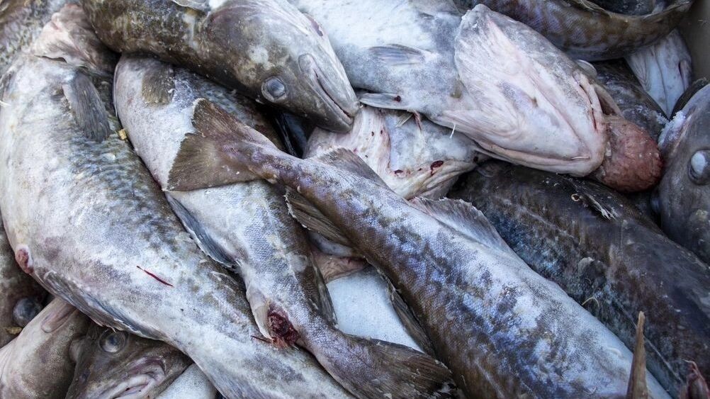     Источник: transsibinfo.com