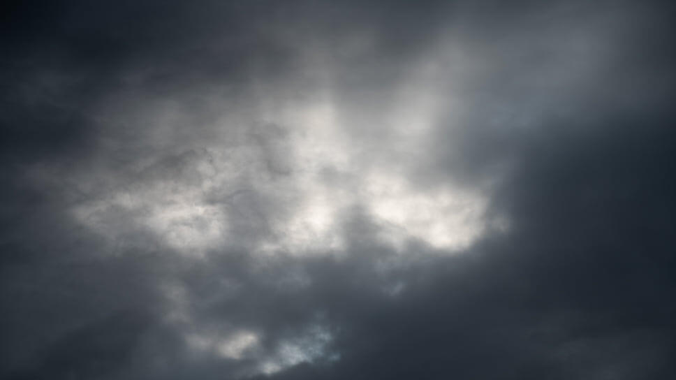 Фото: Олег Харсеев / Коммерсантъ