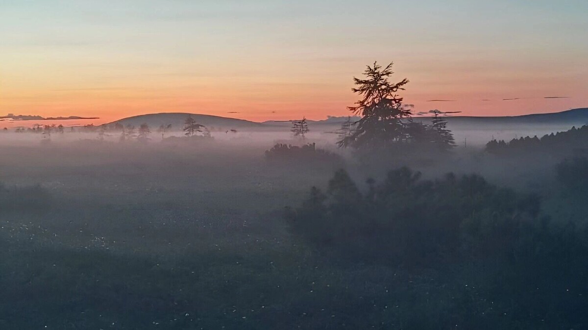     Источник: Пресс-служба Избирательной комиссии Хабаровского края