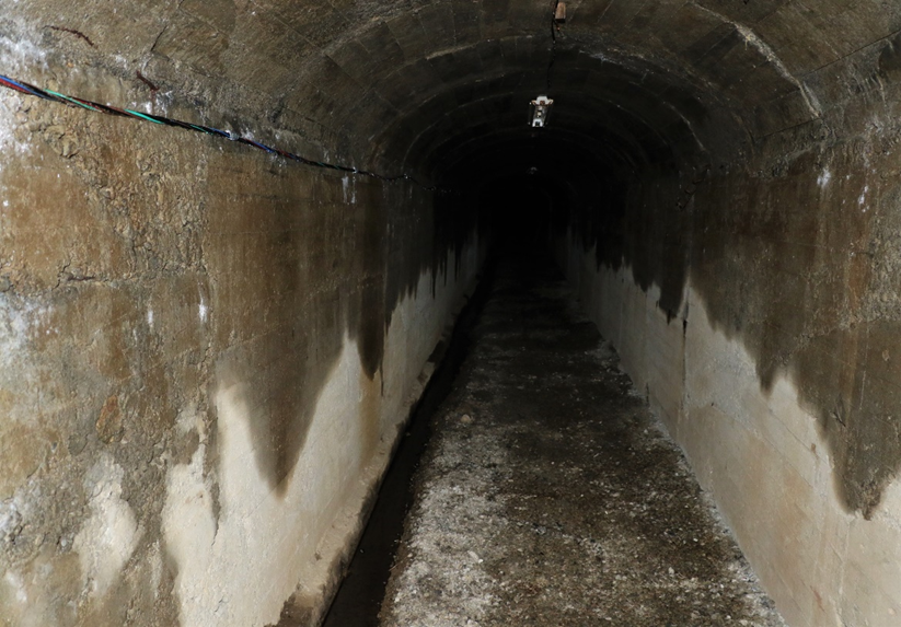 Фотография Якуцени С.П. ©