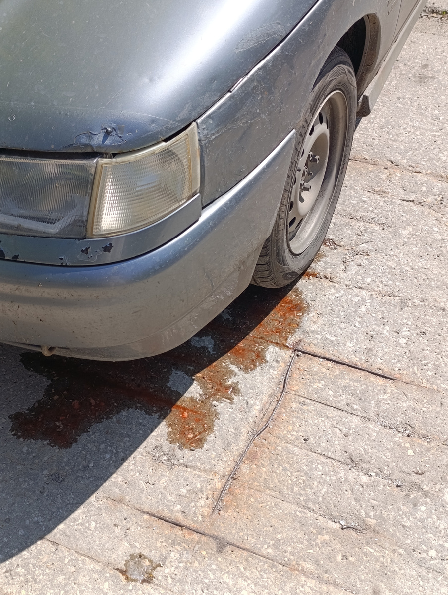 Такая вот лужа ждала меня на парковке 