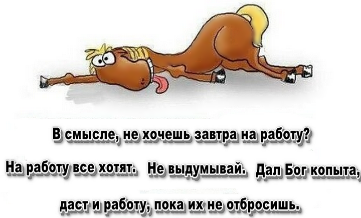 Мем на злобу дня из Интернета